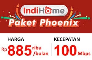 Paket Phoenix 100 Mbps (Internet + Telepon)