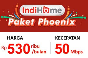 Paket Phoenix 50 Mbps (Internet + Telepon)